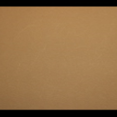 کاغد-دیواری-اس-تیک-پی-پلی