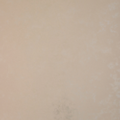 کاغذ-دیواری-لی-لی