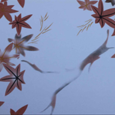 پی-وی-سی-پارسیان-گستر