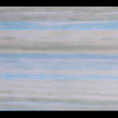 کاغذ-دیواری-فلامینگو