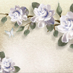 پوستر-سه-بعدی-هلما