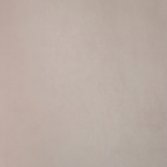 کاغذ-دیواری-لی-لی