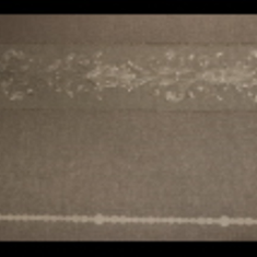 کاغذ-دیواری-مارکو