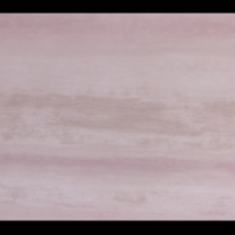 کاغذ-دیواری-فلامینگو