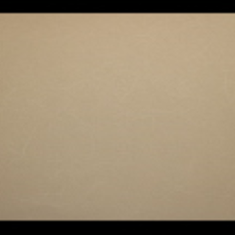 کاغد-دیواری-اس-تیک-پی-پلی