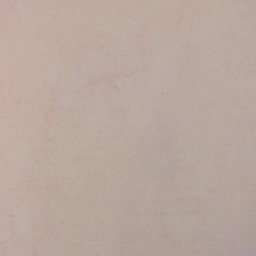 کاغذ-دیواری-کاملیا