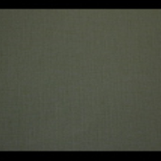 کاغد-دیواری-اس-تیک-پی-پلی