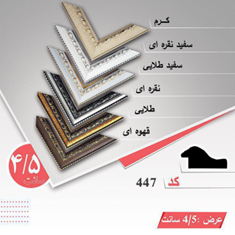 قاب-دکوراتیو-کد447