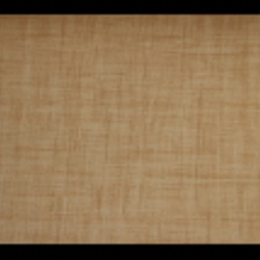 کاغد-دیواری-اس-تیک-پی-پلی