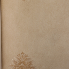 کاغذ-دیواری-کاملیا