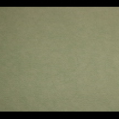 کاغد-دیواری-اس-تیک-پی-پلی