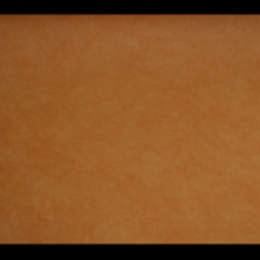 کاغد-دیواری-اس-تیک-پی-پلی