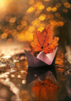 بسته-نرم-افزاری-پرتال