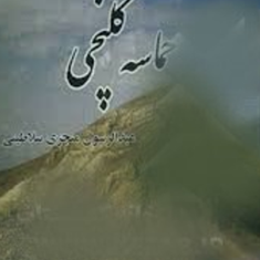 حماسه-کلنچی-منجزی-سلاطینی