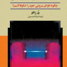روشهای-عملی-مانیتیسم-هیپنوتیزم-و-تلقین-پل-ژاگو-بیتا-شمسینی