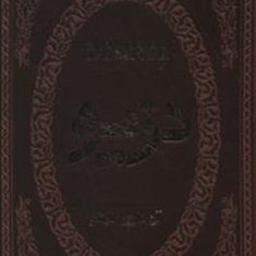 دزیره-جلدچرمآن-ماری-سلینکو-عطیه-بنی-اسدی