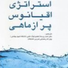 استراتژی-اقیانوس-پر-ازماهی-احمدروستا-بیان-اله-رمضانی