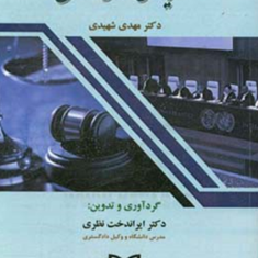 نظریه-های-حقوقی-و-لوایحمهدی-شهیدی-ایراندخت-نظری