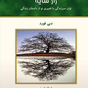 رازسایه-دبی-فورد-فرود