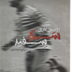 سگ-سفید-رومن-گاری