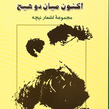 اکنون-میان-دو-هیچ-نیچه-عبدالهی