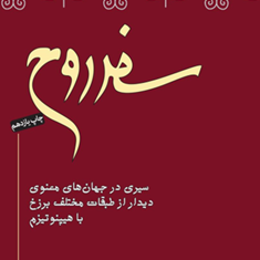 سفرروح-مایکل-نیوتون-محموددانایی