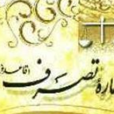 اماره-تصرف-رضا-ولویون