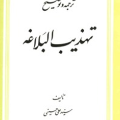 ترجمه-و-توضیح-تهذیب-البلاغه-علی-حسینی