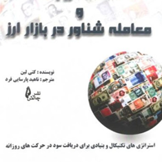 معامله-روزانه-و-معامله-شناور-در-بازار-ارز-کتی-لین-ناهیدپارسایی-فرد