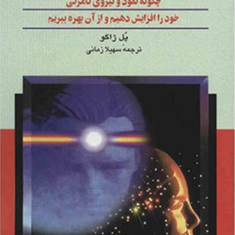 مانیتیسم-شخصی-پل-ژاگو-سهیلازمانی