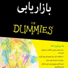 بازاریابی-دامیز-الکساندرهیام-محمد-رضا-ابراهیمی