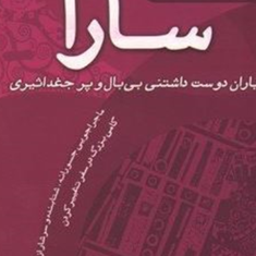 ساراکتاب-دوم-یاران-دوست-داشتنیبی-بال-و-پر-جغد-اثیری-جری-هیکس-مینا-اعظامی