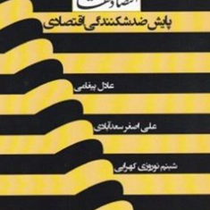 جستارهایی-دراقتصادمقاوتی-پایش-ضدشکنندگی-اقتصادی-عادل-پیغامی-سعدآبادی-کهرایی