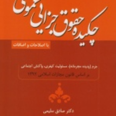 چکیده-حقوق-جزایی-عمومی-صادق-سلیمی