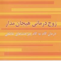 زوج-درمانی-هیجان-مدار-سوزان-جانسن-بیتاحسینی