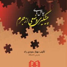 چالشهای-پیشگیری-وضعی-ازجرم-مهناز-سعیدی-راد