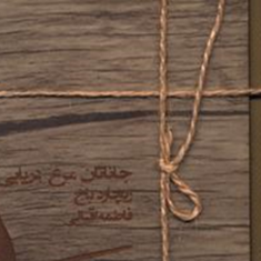 جاناتان-مرغ-دریایی-ریچارد-باخ-فاطمه-اقبالی