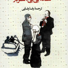 شاه،بی-بی،سرباز-ولادیمیر-نابوکوف-رضا-رضایی