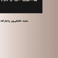 پیشگیری-فنی-ازجرم-سکینه-خانعلی-پور-واجار