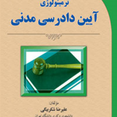 ترمینولوژی-آیین-دادرسی-مدنی-علیرضا-شکربیگی