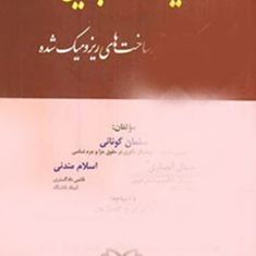 سیاست-جنایی-از-گفتمان-تا-برخاست-های-روزومیک-شده-سلمان-کونانی-جمال-انصاری