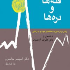 قله-ها-و-دره-ها-اسپنسر-جانسون-نداشادنظر