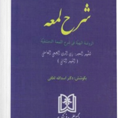 مباحث-حقوقی-شرح-لمعه-اسداله-لطفی