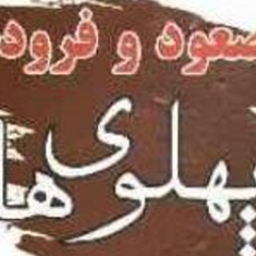 صعود-و-فرود-پهلوی-ها-2جلدیسهراب-اسدی-تویسرکانی