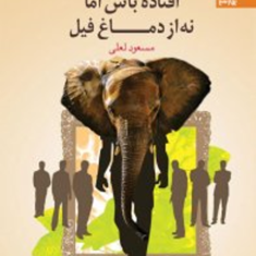شما-عظیم-تر-از-آنی-هستید-که-می-اندیشید10-مسعودلعلی