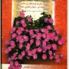 بهشت-روی-زمین