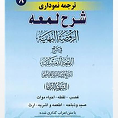 ترجمه-نموداری-شرح-لمعه-جلد8-غصب-لقطه-احیاء-موات-شهیدثانی-مسجدسرایی