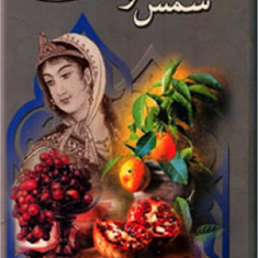 شمس-و-طغری-محمدباقر-خسروی