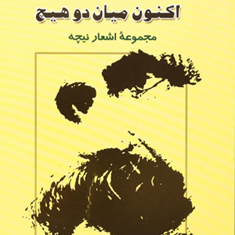 اکنون-میان-دو-هیچ-نیچه-عبدالهی
