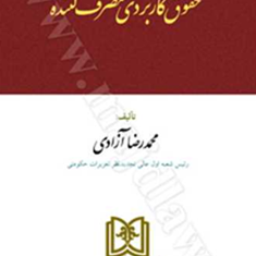 حقوق-کاربردی-مصرف-کننده-محمدرضا-آزادی